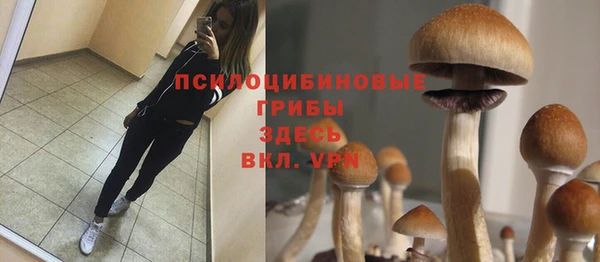 стафф Алексин